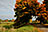 Brandenburg road, Germany