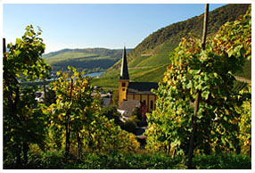 Senheim - Mosel River Valley, Germany