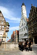Rothenburg, Germany horses