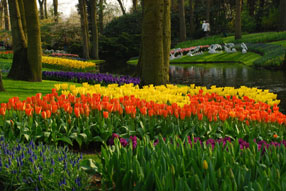Keukenhof Gardens Lisse