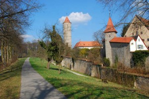 WallAndGarden copy