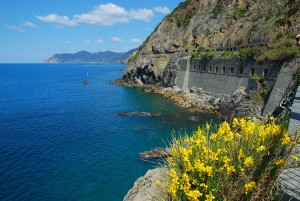 ViaDellaAmoreWithYellowFlowers