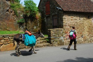 ManAndDonkey