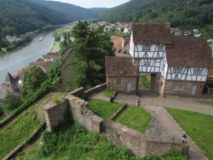 The view from our castle hotel over the Neckar River