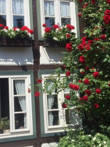 As we travel we love to stop and take photographs. This is in the small town of Blomberg, Northrhein-Westfalen. 