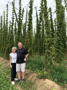 Checking out the hops in Hallertal, Germany